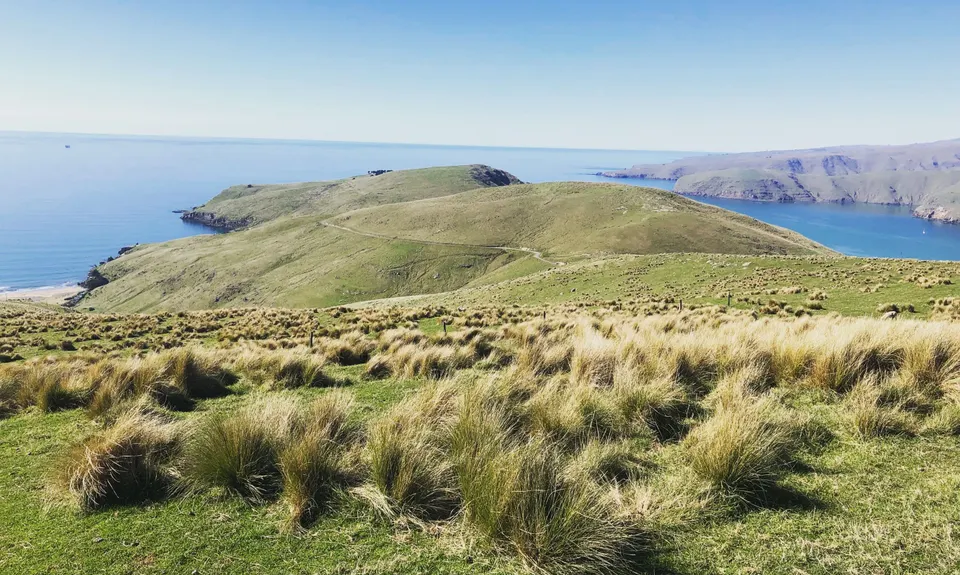 Christchurch 360 Trail - Godley Cliffs Section, Canterbury