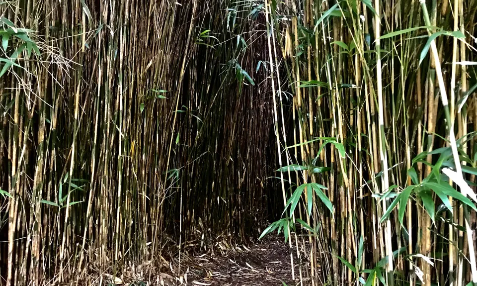 Waihi Wandering, Bay of Plenty