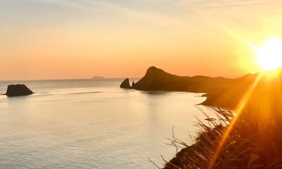 Top of the Coromandel, Waikato