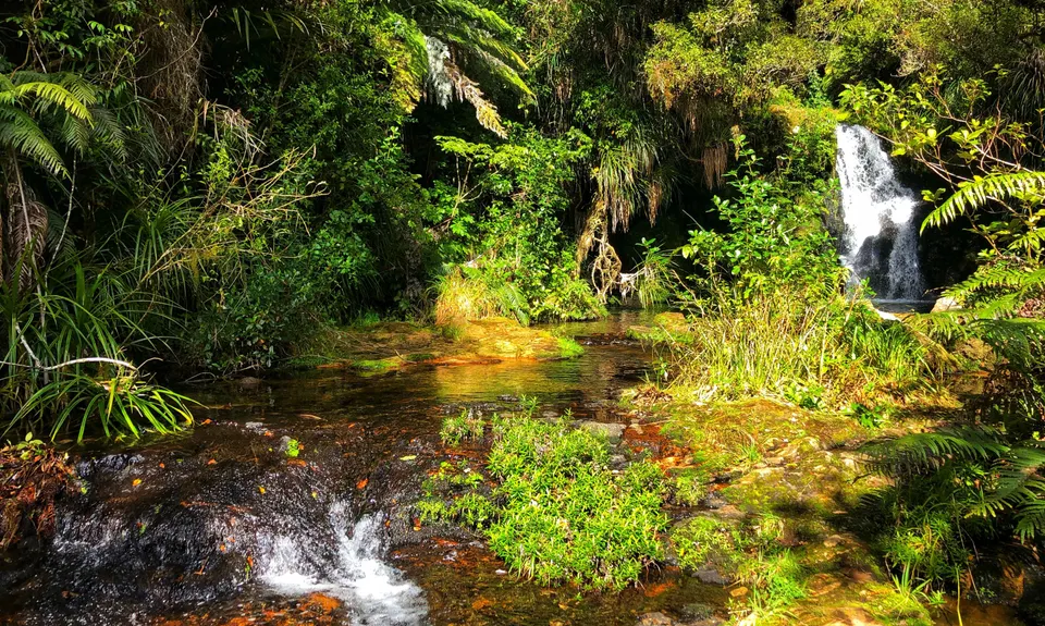 Otainewainuku - Whataroa Falls, Bay of Plenty