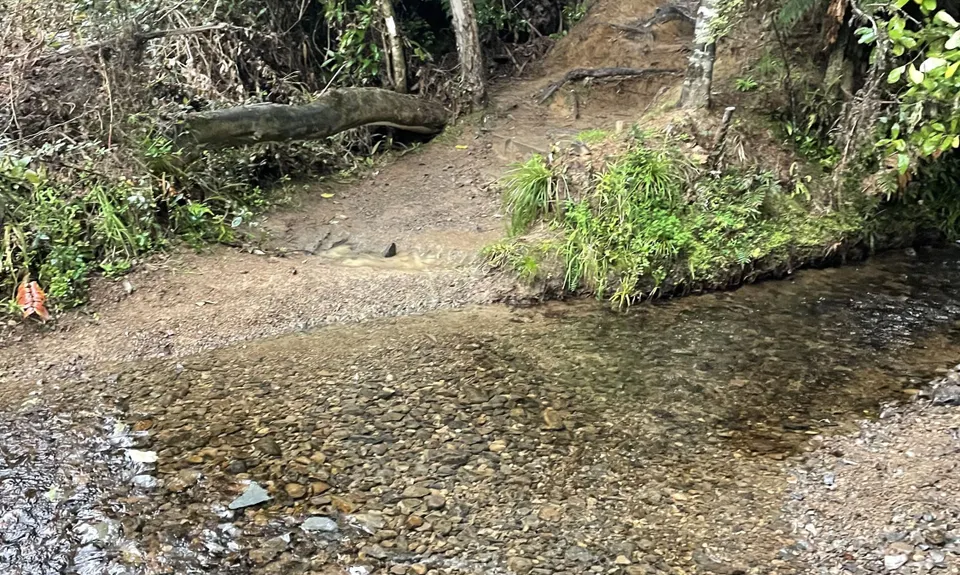 Hunua Hustle, Auckland