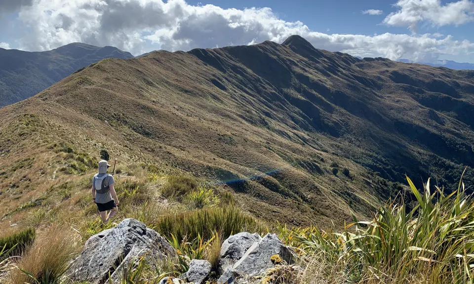 Mt Watson Croesus Loop, West Coast
