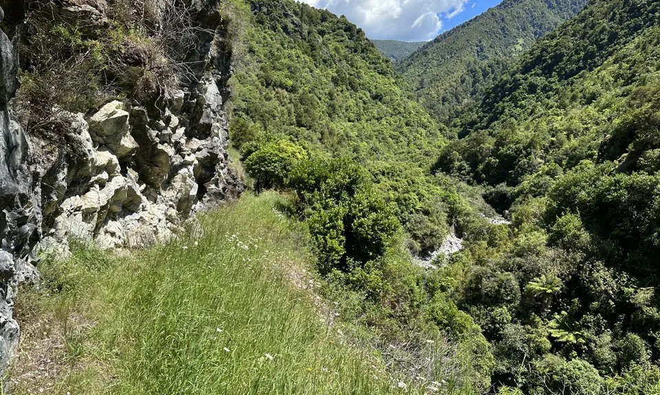 Resurgence Bound , Tasman