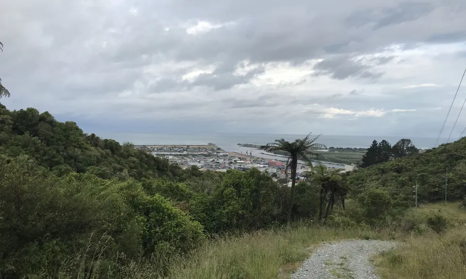 Tuatara Trail Run, West Coast
