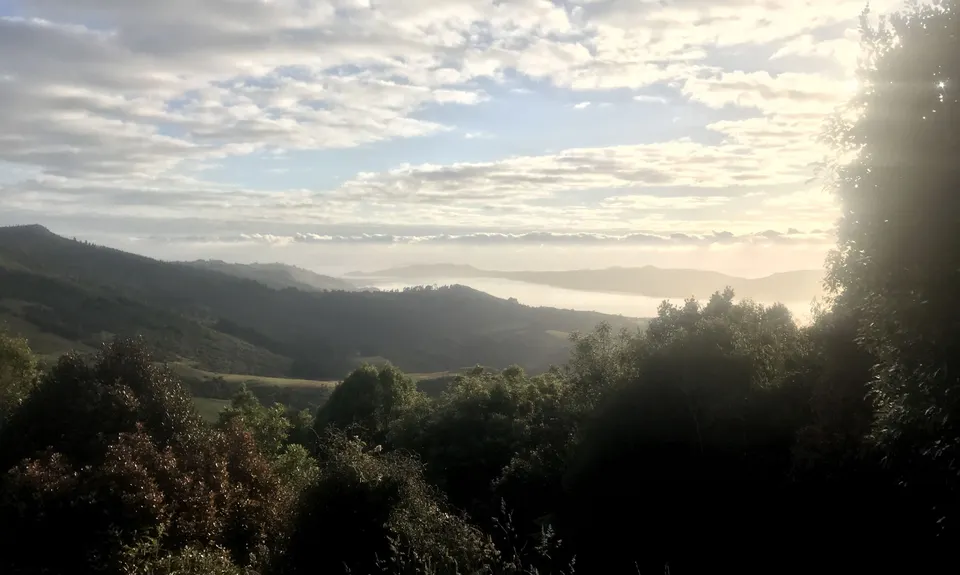 Graham's Grunt, Otago