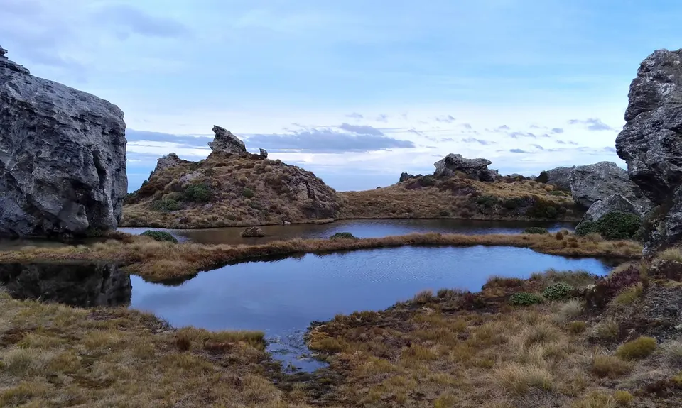 Hump Ridge Track, Southland