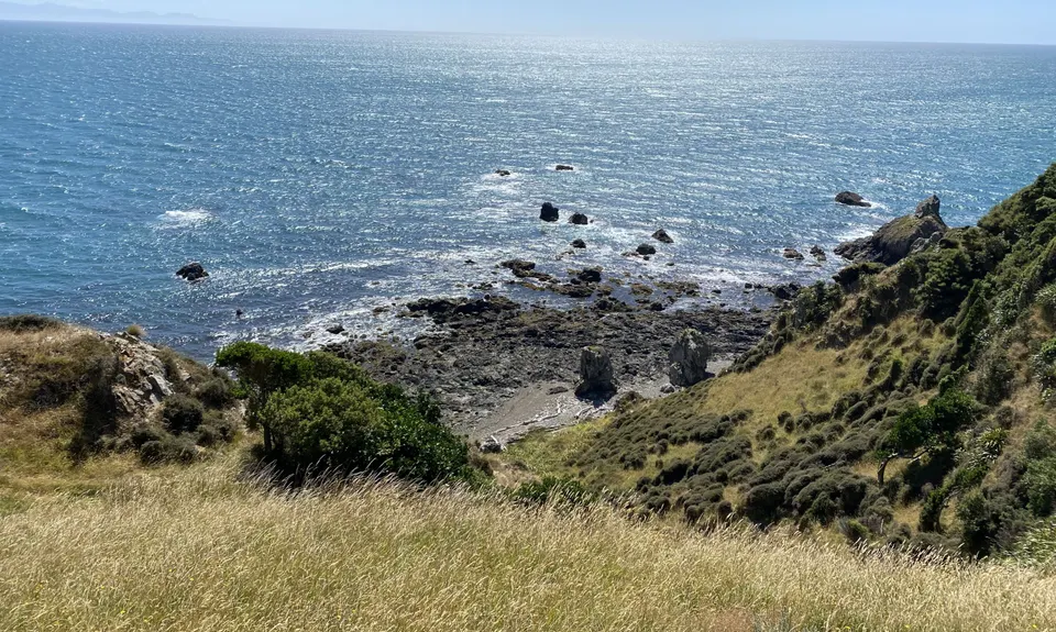Pukerua Scenic Tua, Wellington