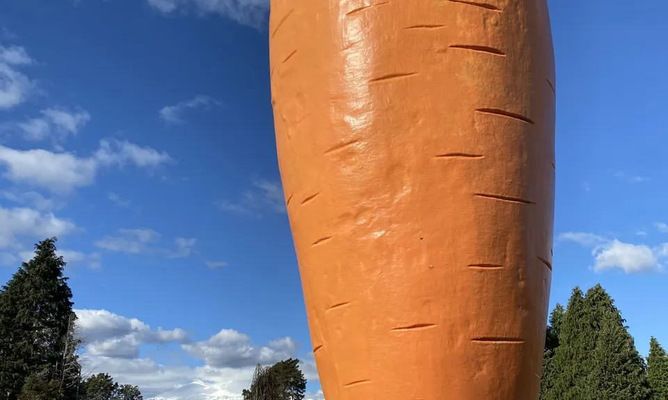 Ohakune Town/Forest Loop, Manawatu - Wanganui