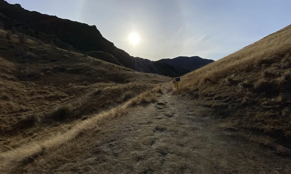 Bush Creek Banger and The Steiger!, Otago