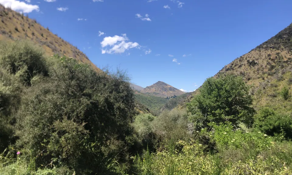 Sawpit Gully - German Hill, Otago