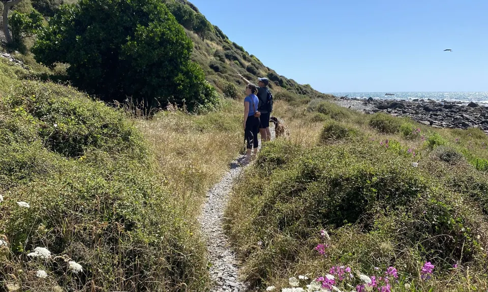 Pukerua Scenic Tua, Wellington