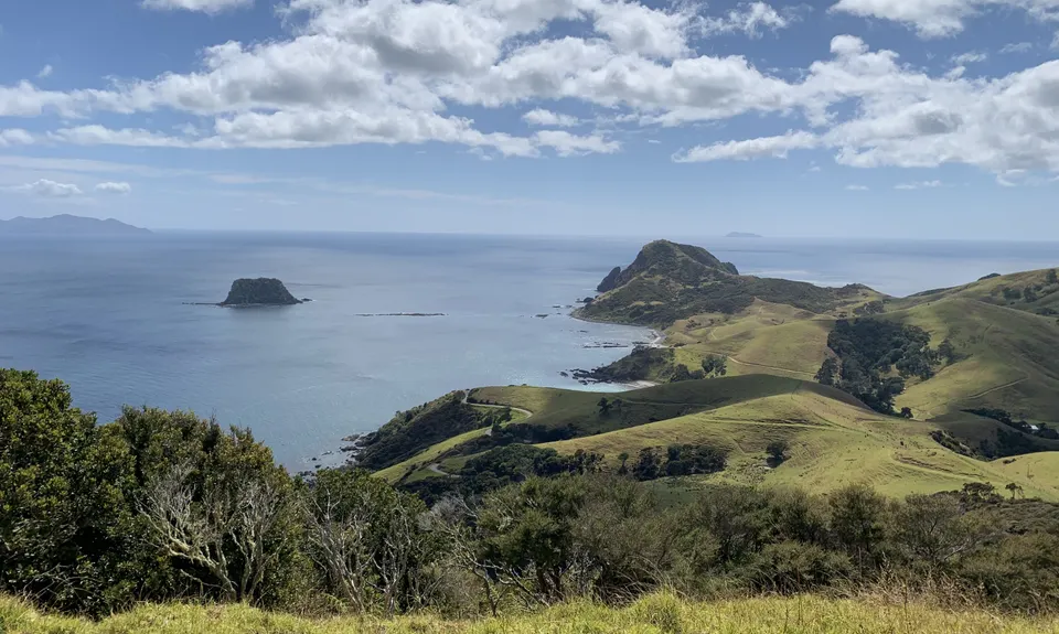 Port Jackson - Wharekaiatua Pa, Waikato