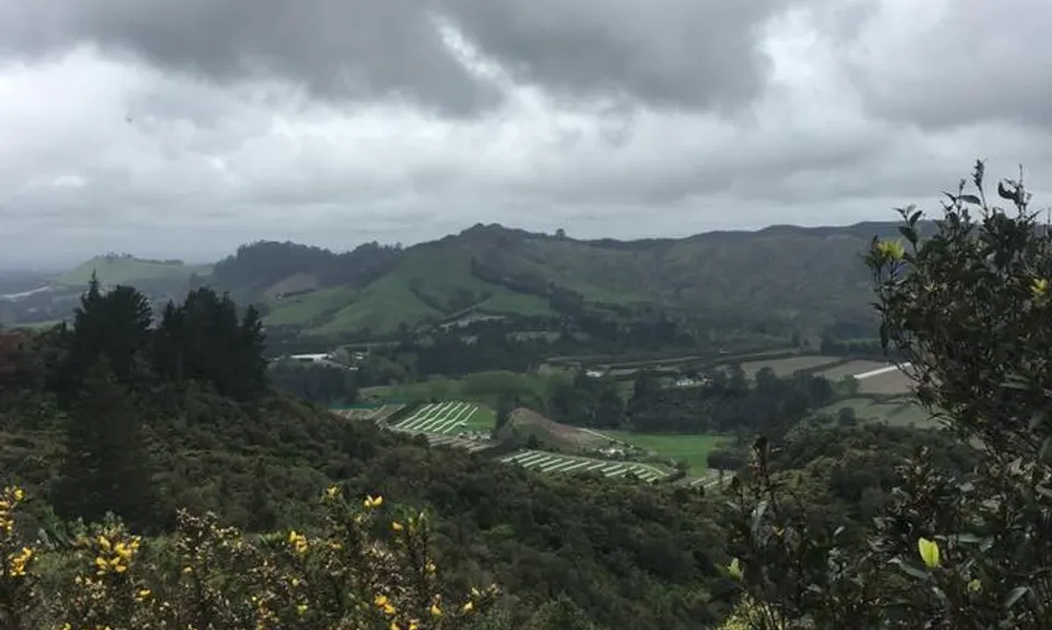 Otanewainuku to Otawa, Bay of Plenty