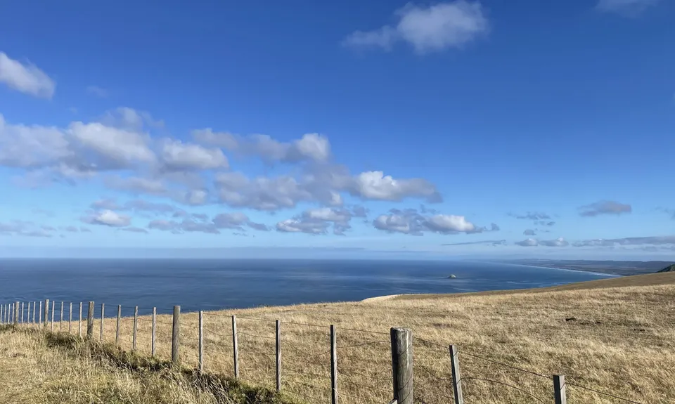 Te Henga Trail, Auckland