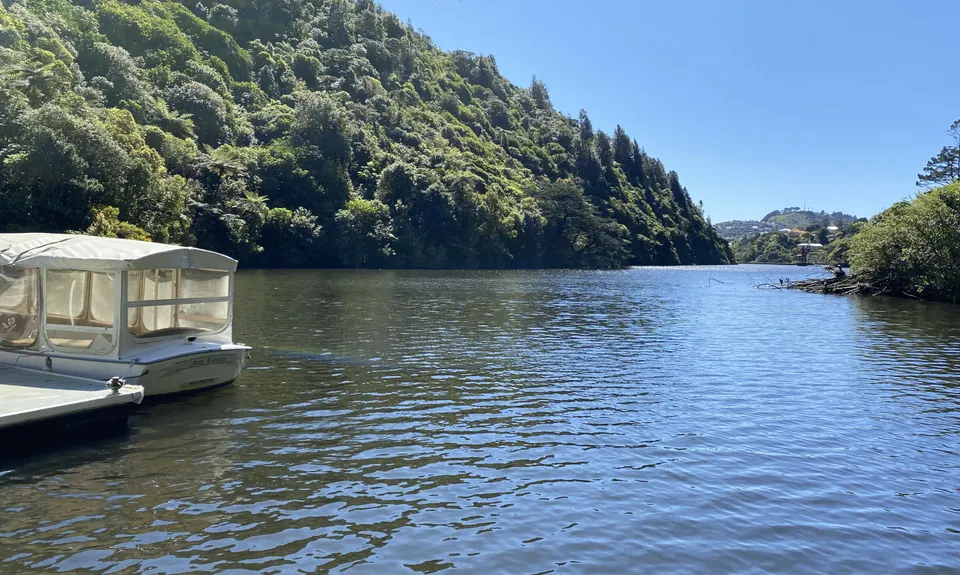 Seeking Sanctuary, Wellington