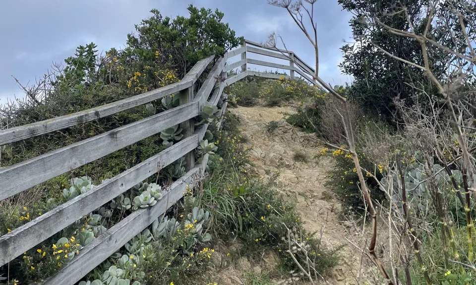 Te Raekaihau Point, Wellington