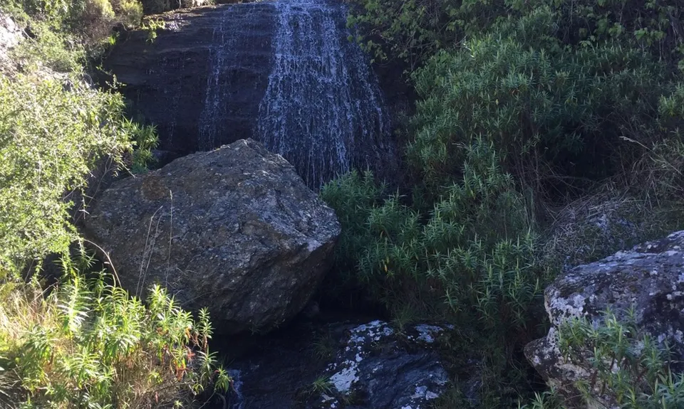 Roaring Meg Pack Track, Otago