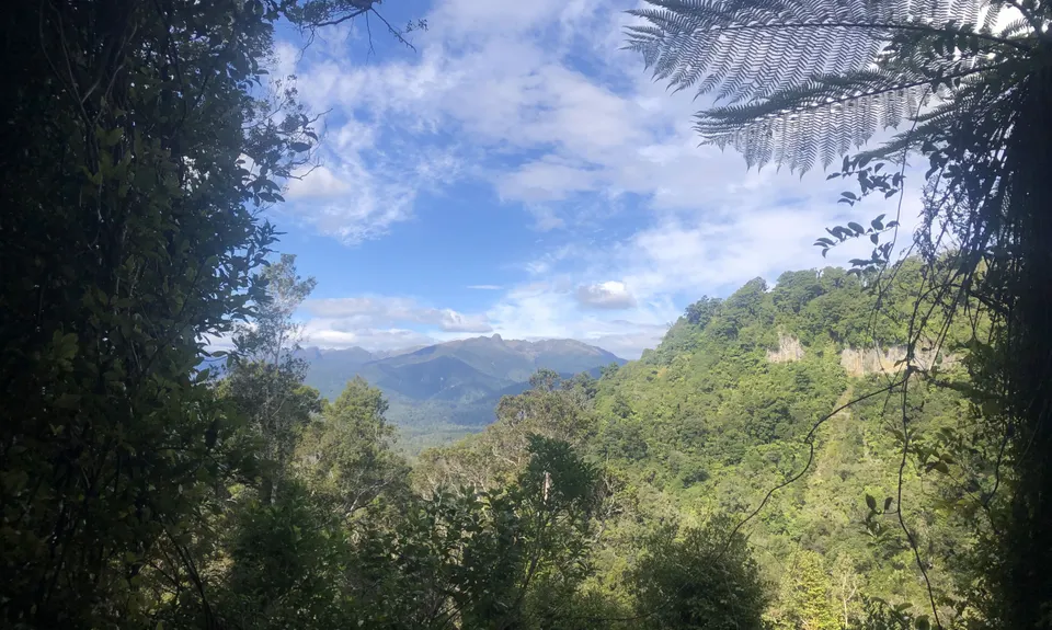 Punakaiki-Pororari loop, West Coast