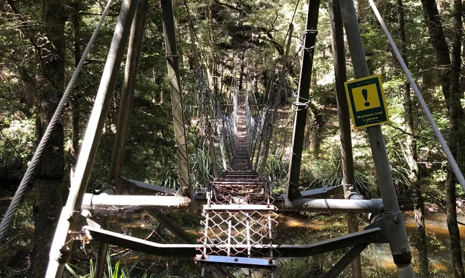 Catlins River Track, Otago