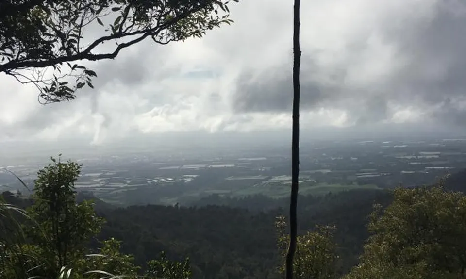 Otanewainuku to Otawa, Bay of Plenty