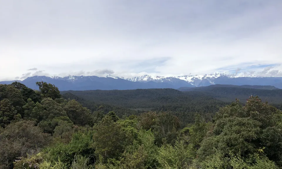 Okarito Majesty, West Coast