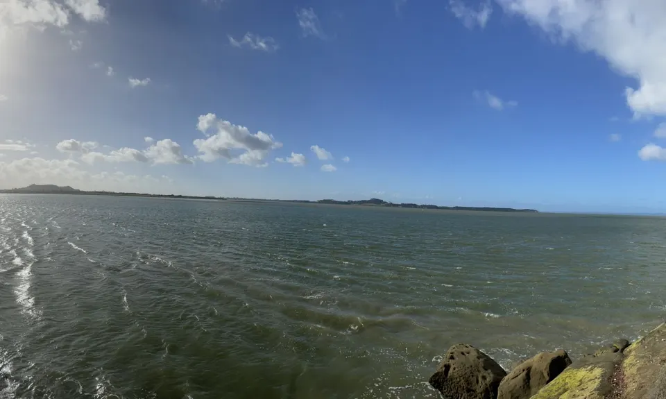 Waikowhai Stairs, Bush & Beach, Auckland