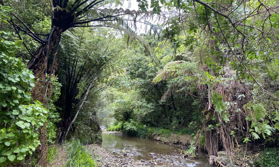 Pareraho to Cornish, Wellington