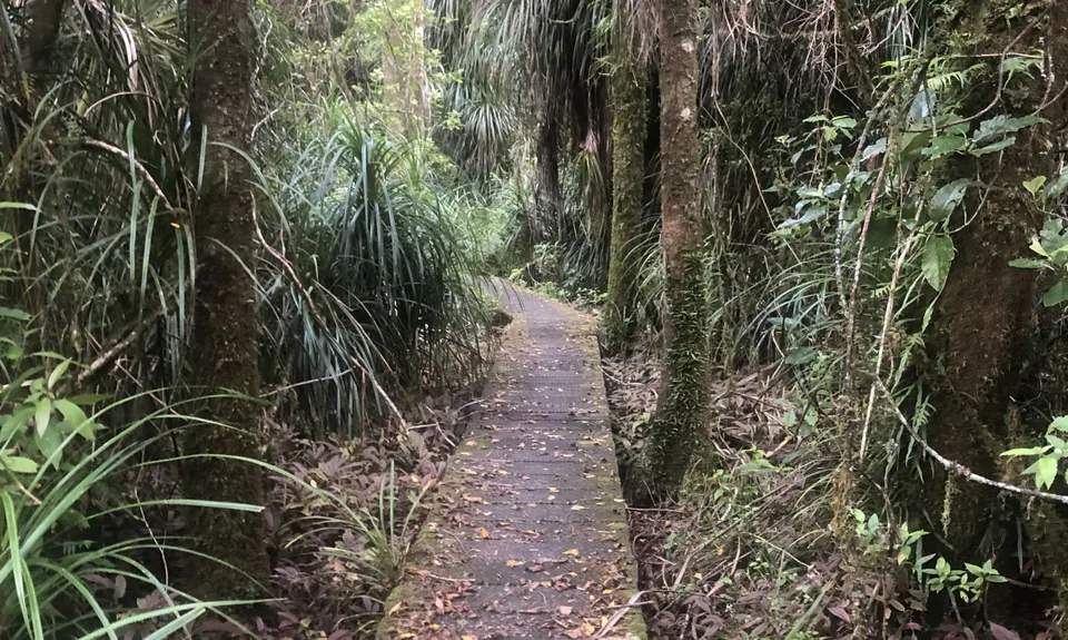 Atene Skyline Track, Manawatu - Wanganui