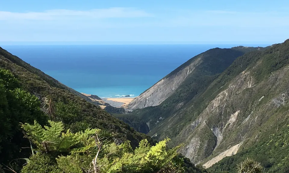 Mt Matthews - Mukamuka Loop, Wellington