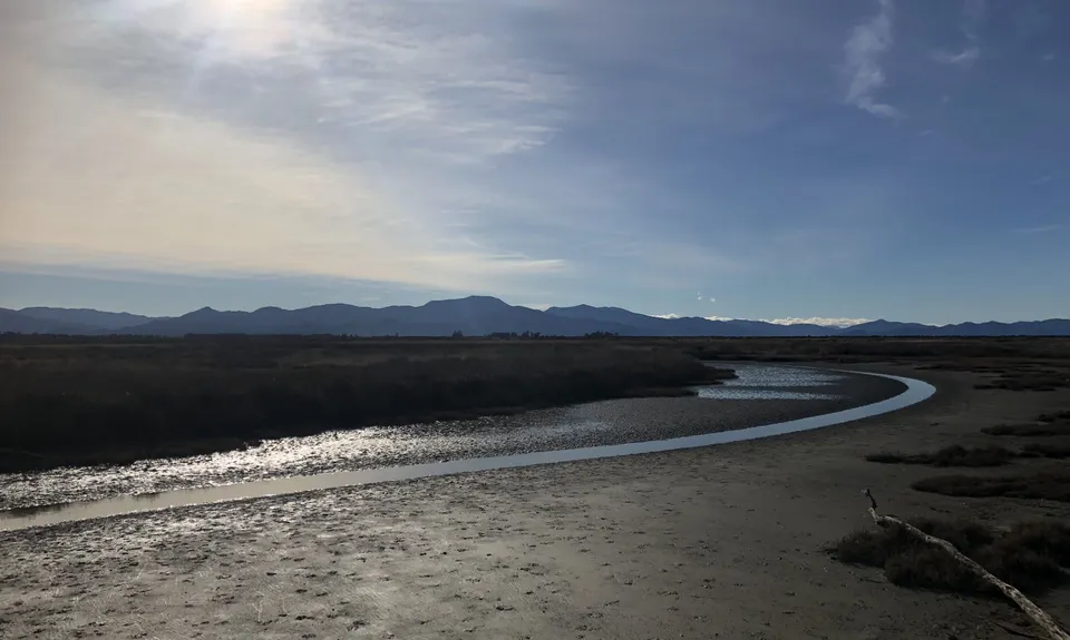 Wairau Lagoons Loop, Marlborough
