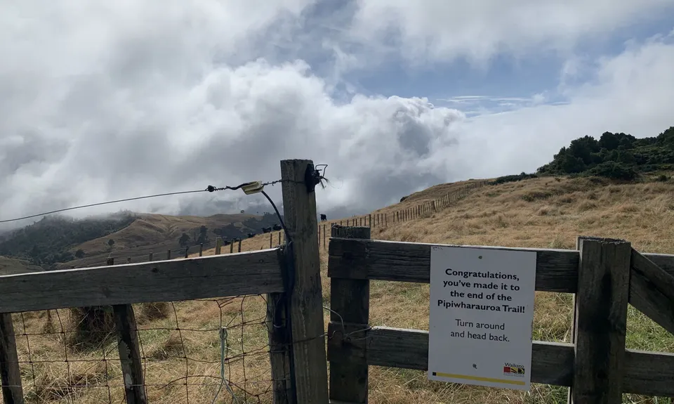 Pipiwharauroa Trail, Waikato