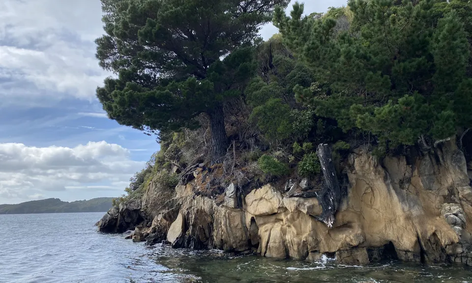 Bragging About Horseshoe Point, Southland