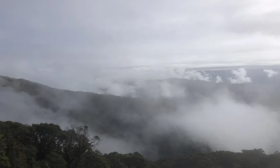 Mt Watson Croesus Loop, West Coast