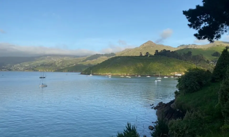 Dog Sniffing Rhythms - Harbour Crusin', Canterbury