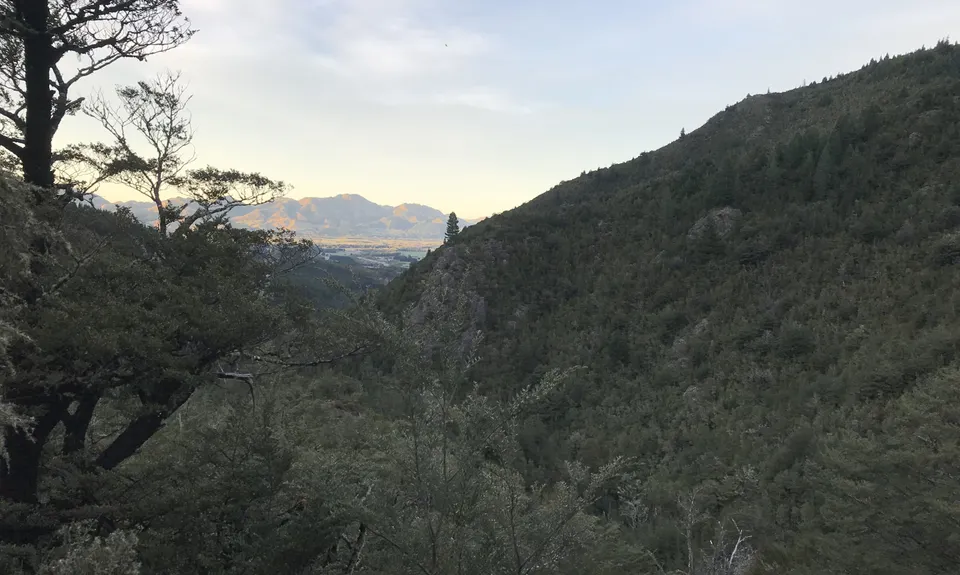 Mt Isobel Long Loop, Canterbury