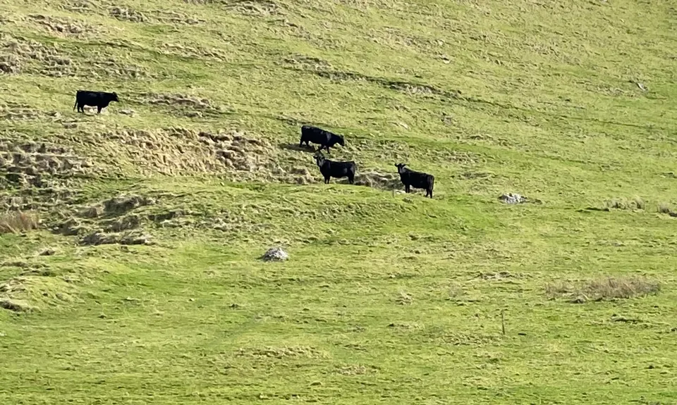 Rewanui Loops, Manawatu - Wanganui