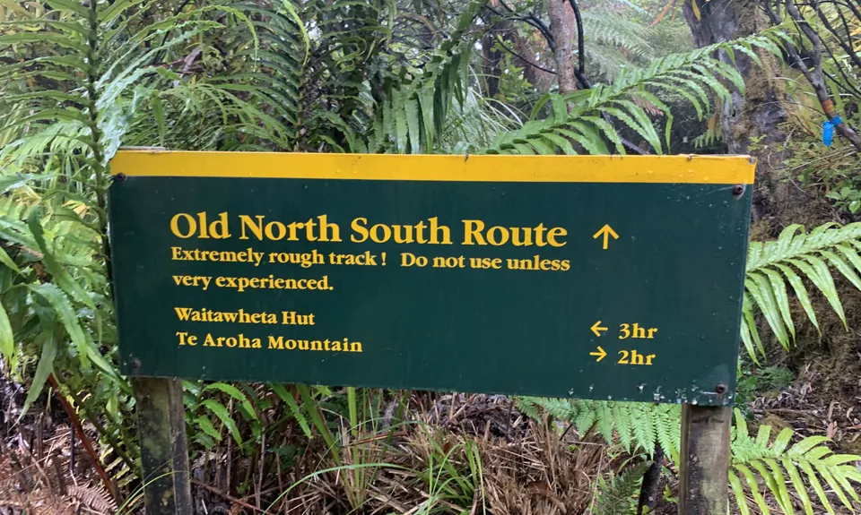 Pukekōhatu Pack Ponies, Waikato