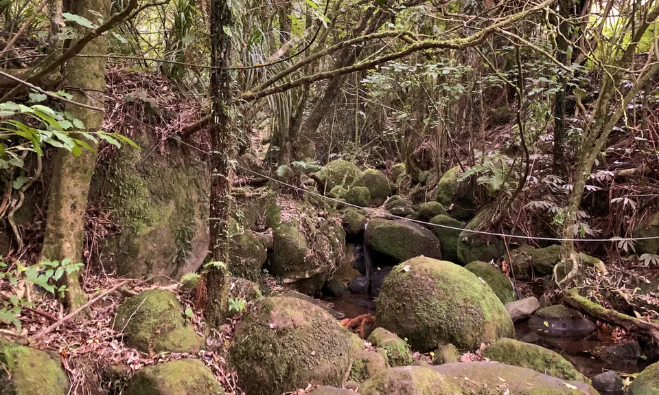 Te Tuhi Wairere Loop, Waikato