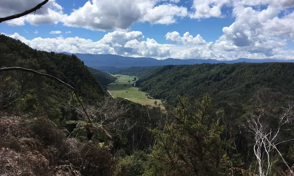 Kirwans Track Loop, West Coast