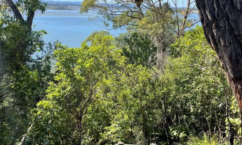 Waikowhai Stairs, Bush & Beach, Auckland