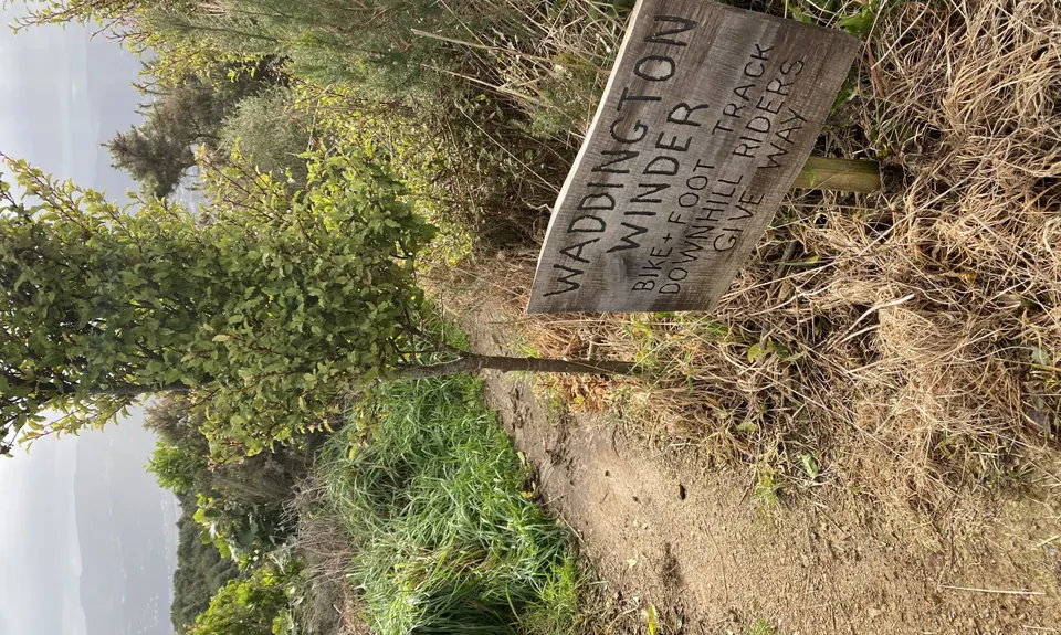Waddington Loop of Wander, Wellington