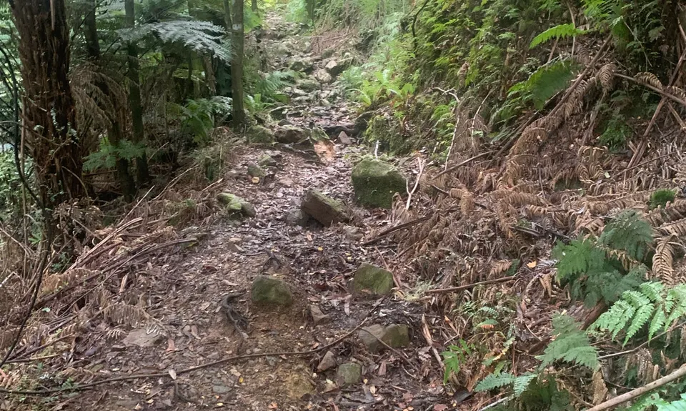 Dobson Loop, Wellington
