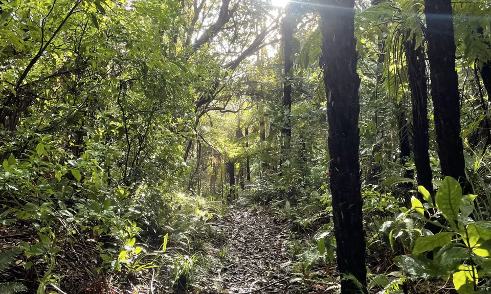 Pukapuka Track, Auckland