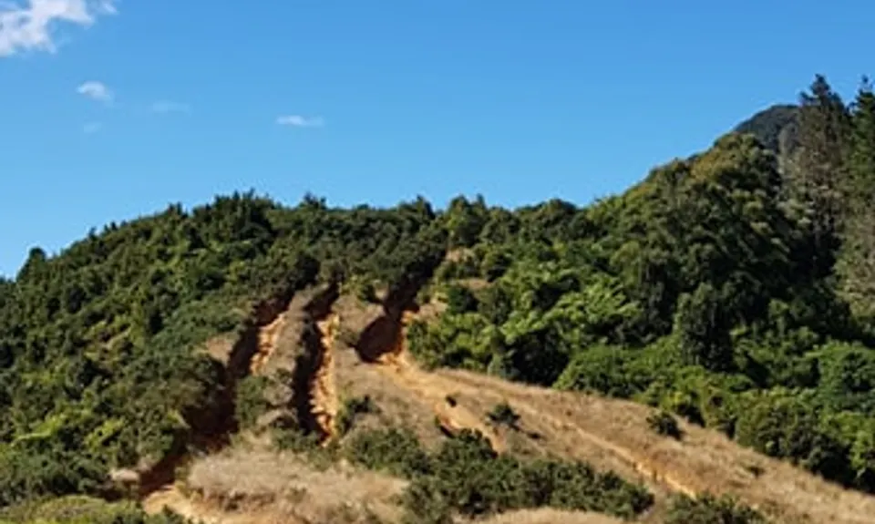 Tuahu To Wairere , Waikato