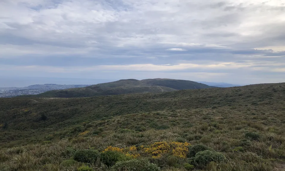 Leith Valley Swampy Circuit, Otago