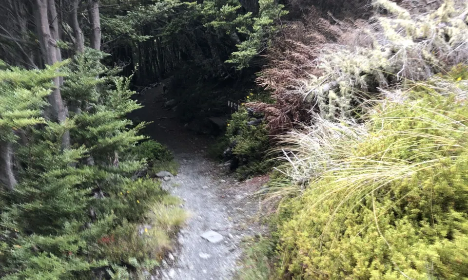 The Edge loop, Canterbury