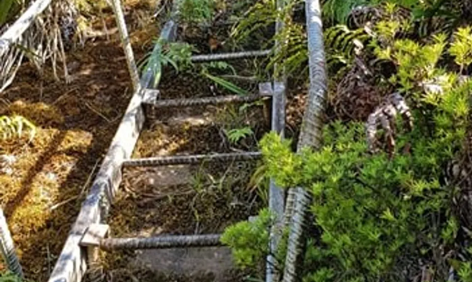 Tuahu To Wairere , Waikato