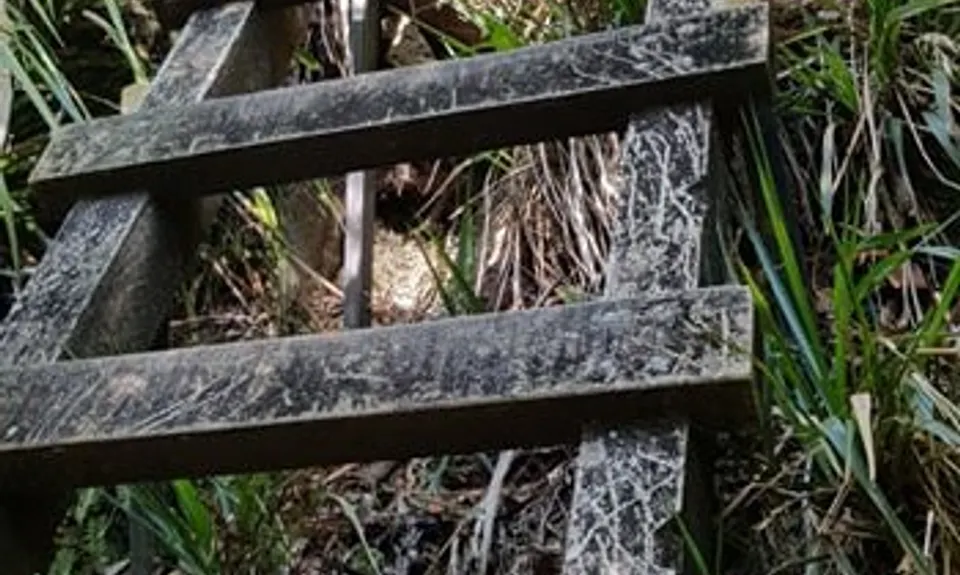 Tuahu To Wairere , Waikato