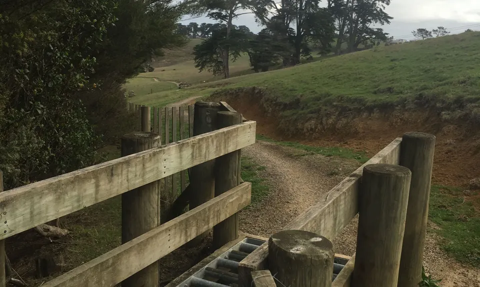 Totara Park Track, Auckland