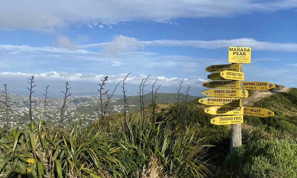 Mini Makara Mission, Wellington